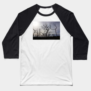 Black dead Manna gum tree limbs, Baseball T-Shirt